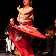 The story behind the flamenco show “De mi barrio”