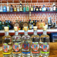 A toast with Wahaka Mezcal at ¡Viva Milagro!